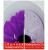 Sanita Luxe Best Унитаз-компакт с быстросъемным сидением микролифт и черной крышкой в Горячем Ключе